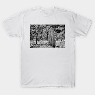 Termite Mounds 01 T-Shirt